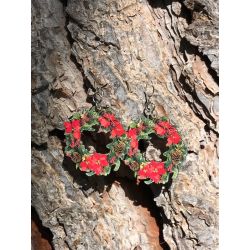 Earrings come as shown