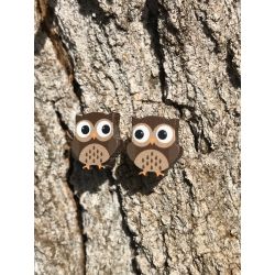 Earrings come as shown