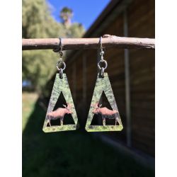 Earrings come as shown