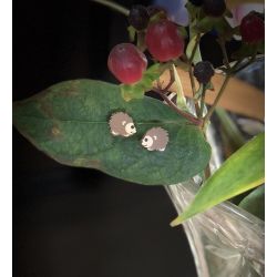 Earrings come as shown