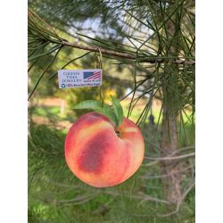 peach ornament shown in 100% recycled office paper