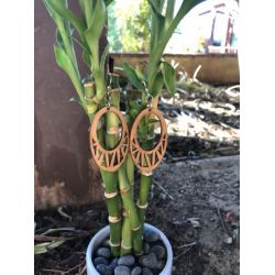985 embrace bamboo earrings