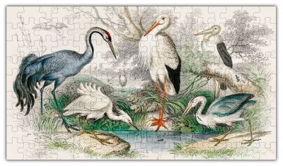 Birds Puzzle - 144PCS - #6702