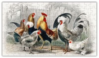 Rooster PUZZLE - 144PCS - #6705