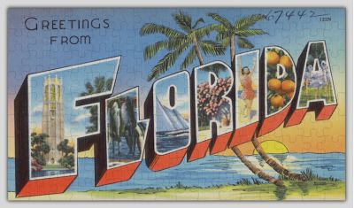 Florida State Jigsaw Puzzle - 144PCS - #6715