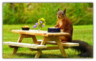 A Squirrel Having a Nice Picnic Lunch Puzzle - 66PCS - #6510