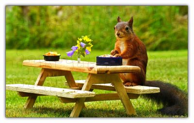 A Squirrel Having a Nice Picnic Lunch PUZZLE - 66PCS - #6510