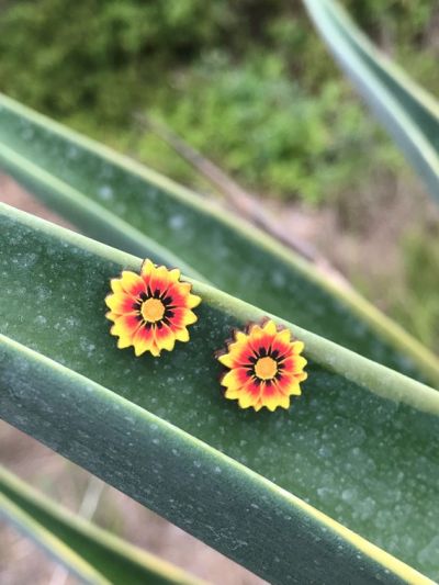 Lifestyle photo - Fire Wheel Flower earrings