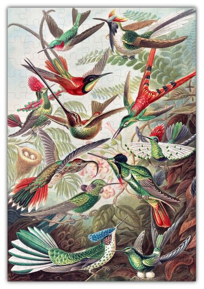 Haeckels Hummingbirds Jigsaw PUZZLE - 160PCS - #6730