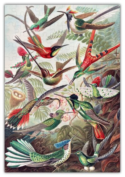 Haeckels Hummingbirds Jigsaw Puzzle - 160PCS - #6730