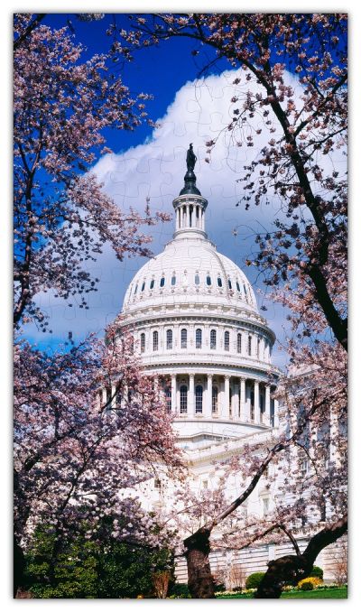 U.S. Capitol in Cherry Blossoms Jigsaw PUZZLE - 144PCS - #6728