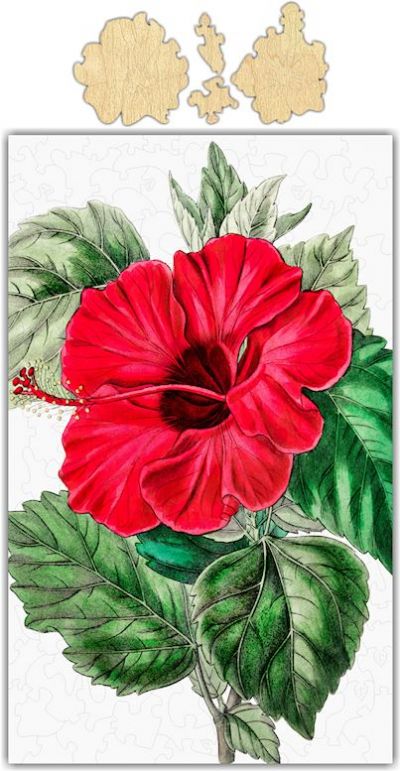 Whimsical Hibiscus Jigsaw PUZZLE - 153PCS - #6731